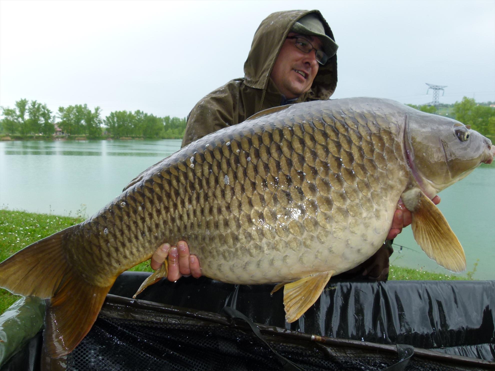 THE BIGS OF 2012 - p1000040.JPG